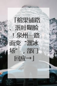 榕果铺路、落叶糊脸！泉州一路面变“溜冰场”，部门回应→