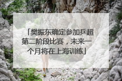 樊振东确定参加乒超第二阶段比赛，未来一个月将在上海训练