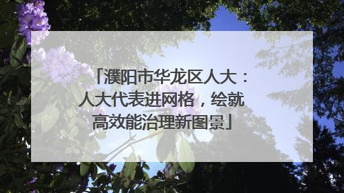 濮阳市华龙区人大：人大代表进网格，绘就高效能治理新图景