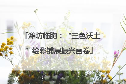 潍坊临朐：“三色沃土”绘彩铺展振兴画卷