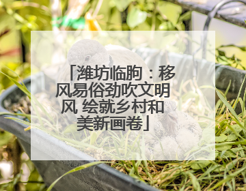 潍坊临朐：移风易俗劲吹文明风 绘就乡村和美新画卷
