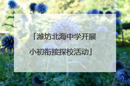 潍坊北海中学开展小初衔接探校活动