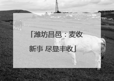 潍坊昌邑：麦收新事 尽显丰收