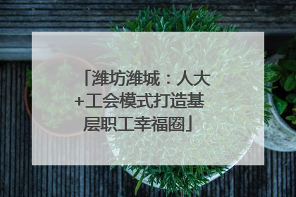 潍坊潍城：人大+工会模式打造基层职工幸福圈