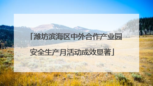 潍坊滨海区中外合作产业园安全生产月活动成效显著