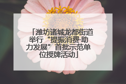潍坊诸城龙都街道举行“提振消费·助力发展”首批示范单位授牌活动