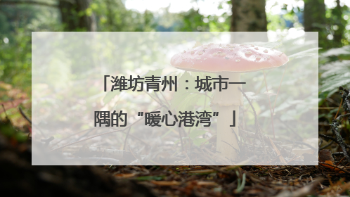 潍坊青州：城市一隅的“暖心港湾”