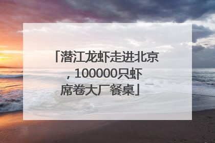 潜江龙虾走进北京，100000只虾席卷大厂餐桌