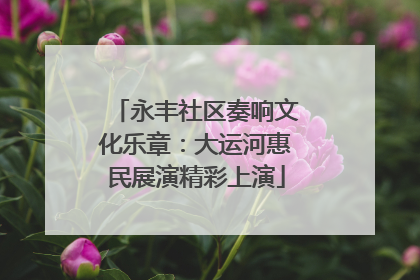 永丰社区奏响文化乐章：大运河惠民展演精彩上演