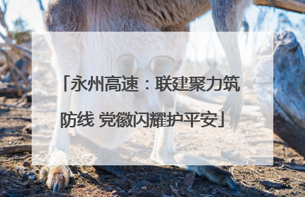 永州高速：联建聚力筑防线 党徽闪耀护平安