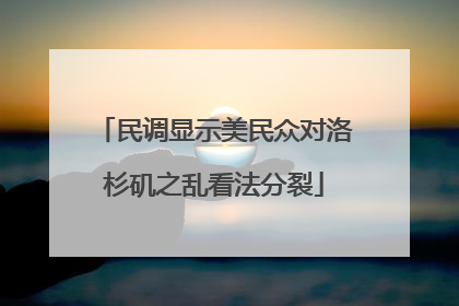 民调显示美民众对洛杉矶之乱看法分裂
