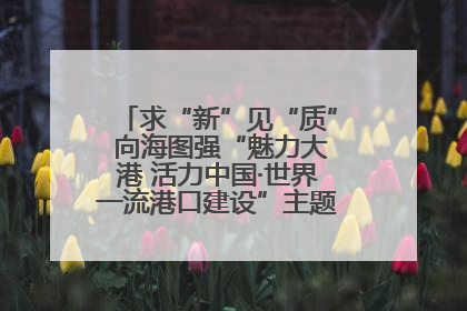 求“新”见“质” 向海图强“魅力大港 活力中国·世界一流港口建设”主题宣传活动走进山东