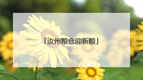 汝州粮仓迎新粮