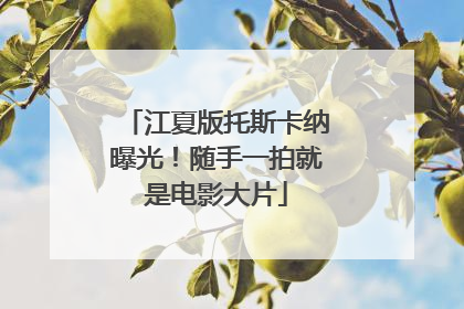 江夏版托斯卡纳曝光！随手一拍就是电影大片