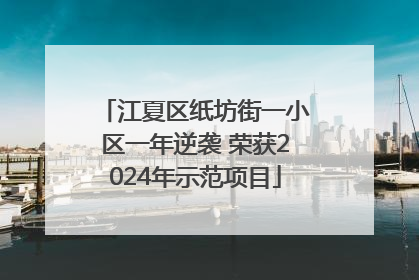 江夏区纸坊街一小区一年逆袭 荣获2024年示范项目