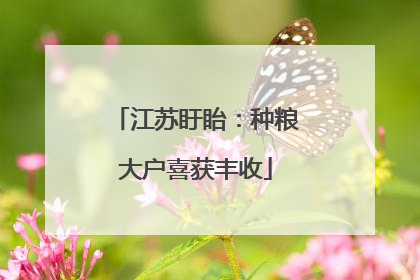 江苏盱眙：种粮大户喜获丰收