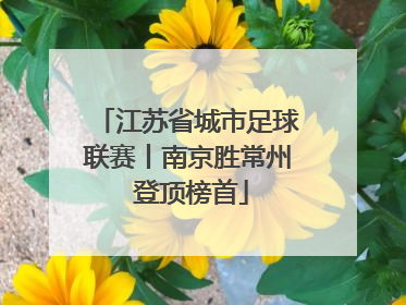 江苏省城市足球联赛丨南京胜常州 登顶榜首