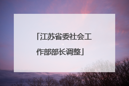 江苏省委社会工作部部长调整
