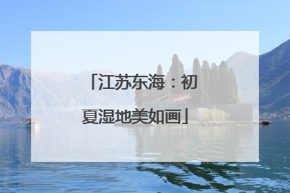 江苏东海：初夏湿地美如画