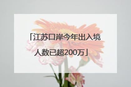 江苏口岸今年出入境人数已超200万