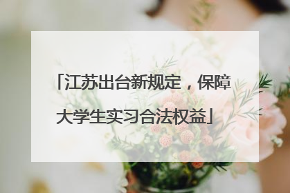 江苏出台新规定，保障大学生实习合法权益