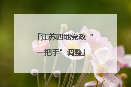 江苏四地党政“一把手”调整