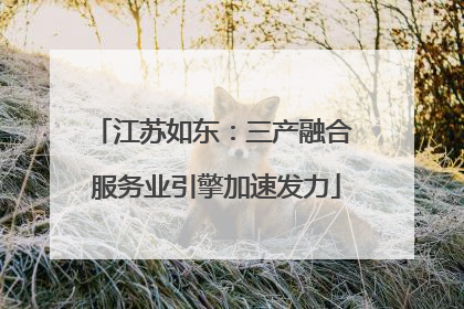 江苏如东：三产融合 服务业引擎加速发力