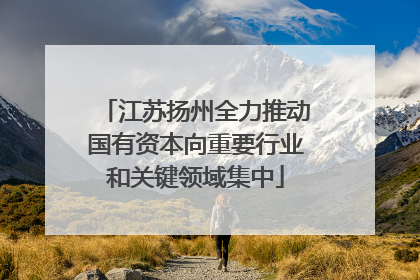 江苏扬州全力推动国有资本向重要行业和关键领域集中