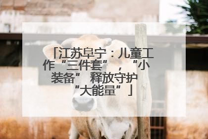 江苏阜宁：儿童工作“三件套”，“小装备” 释放守护 “大能量”