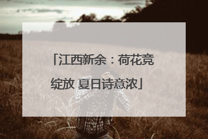 江西新余：荷花竞绽放 夏日诗意浓