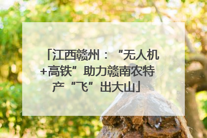 江西赣州：“无人机+高铁”助力赣南农特产“飞”出大山