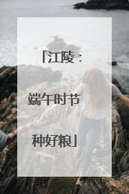 江陵：端午时节种好粮
