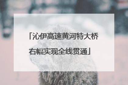 沁伊高速黄河特大桥右幅实现全线贯通