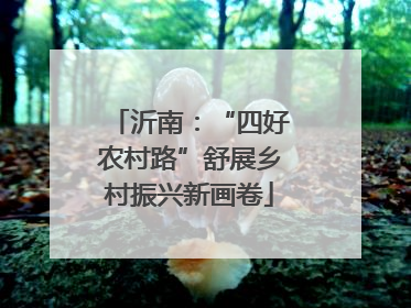 沂南：“四好农村路”舒展乡村振兴新画卷