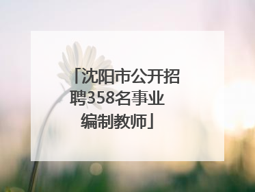 沈阳市公开招聘358名事业编制教师