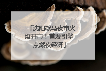 沈阳歇马夜市火爆开市！首发引擎点燃夜经济