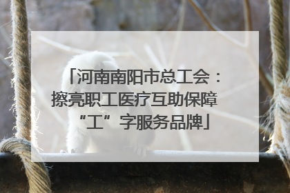 河南南阳市总工会：擦亮职工医疗互助保障“工”字服务品牌
