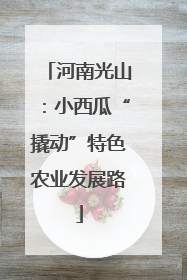 河南光山：小西瓜“撬动”特色农业发展路