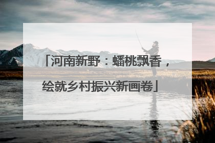 河南新野：蟠桃飘香，绘就乡村振兴新画卷
