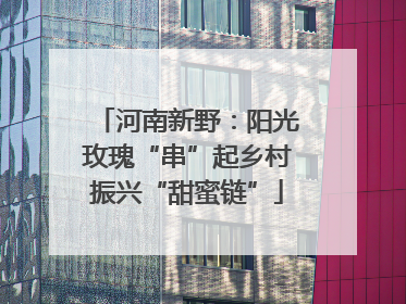河南新野：阳光玫瑰“串”起乡村振兴“甜蜜链”