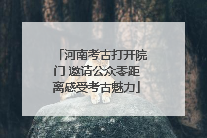 河南考古打开院门 邀请公众零距离感受考古魅力