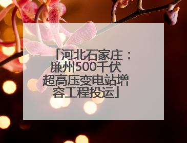 河北石家庄：廉州500千伏超高压变电站增容工程投运