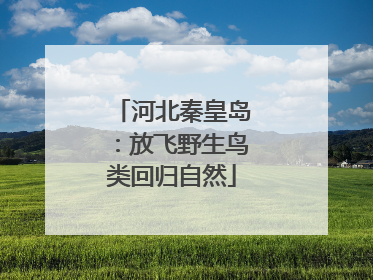 河北秦皇岛：放飞野生鸟类回归自然