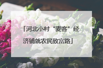河北小村“麦客”经济铺就农民致富路