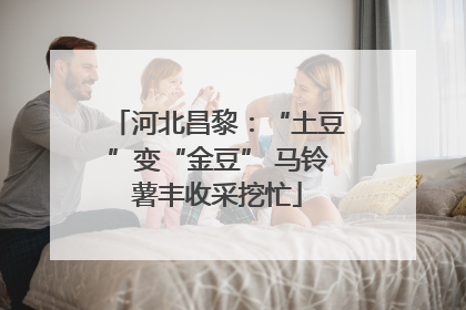 河北昌黎：“土豆”变“金豆” 马铃薯丰收采挖忙