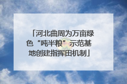 河北曲周为万亩绿色“吨半粮”示范基地创建指挥田机制