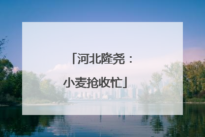 河北隆尧：小麦抢收忙