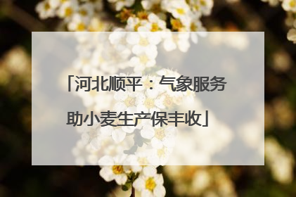 河北顺平：气象服务助小麦生产保丰收