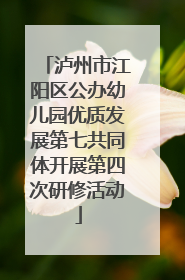 泸州市江阳区公办幼儿园优质发展第七共同体开展第四次研修活动