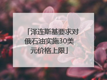 泽连斯基要求对俄石油实施30美元价格上限